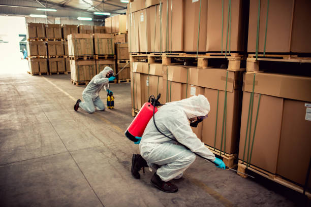 Best Emergency Pest Control  in Rden City, GA