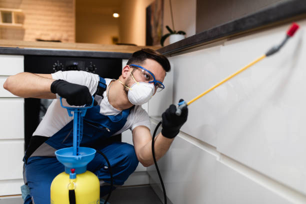 Best Flea Control Services  in Rden City, GA