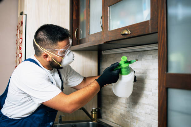 Best Best Pest Control Companies  in Rden City, GA