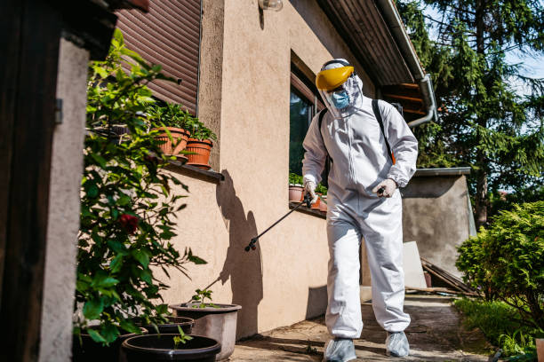 Best Mosquito Control Services  in Rden City, GA