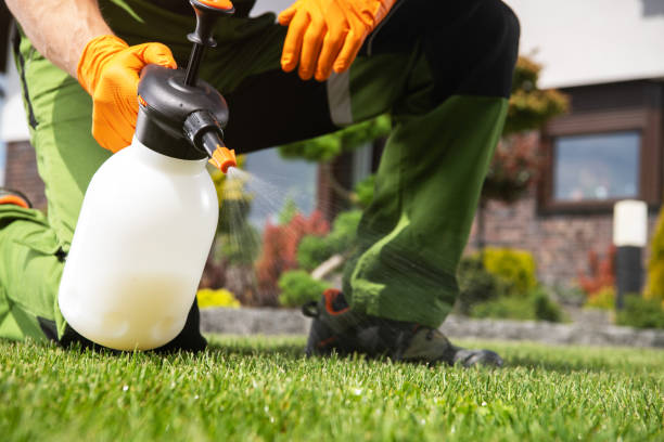 Best Pest Inspection Near Me  in Rden City, GA