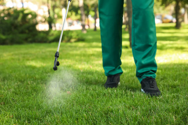 Best Pest Control Treatment  in Rden City, GA