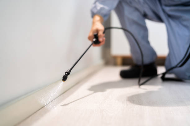 Best Mosquito Control Services  in Rden City, GA