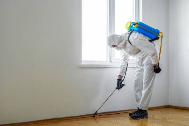 Reliable Garden City, GA Pest Control Solutions