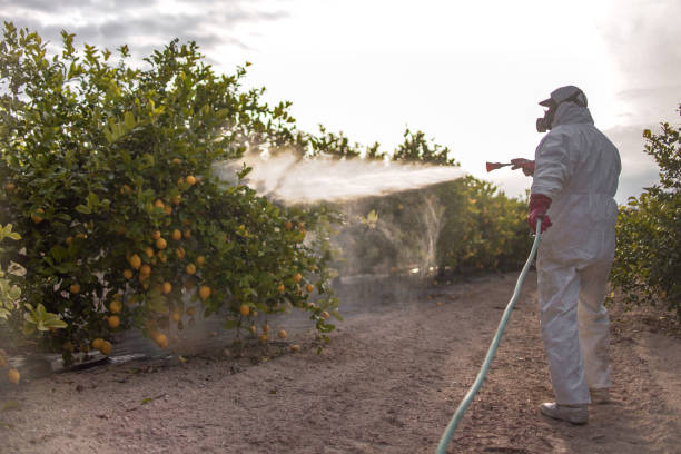 Flea Control Services in Garden City, GA