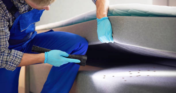 Best Ant Control Services  in Rden City, GA