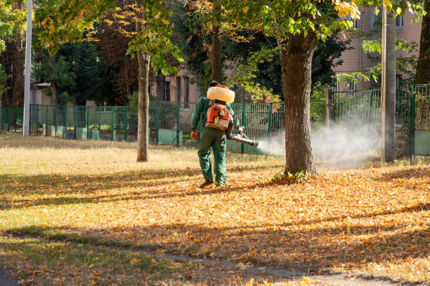 Best Pest Inspection Near Me  in Rden City, GA
