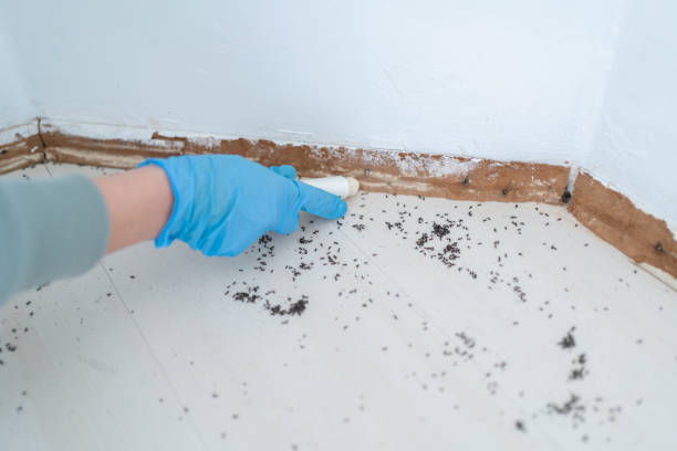 Pest Control Cost in Garden City, GA